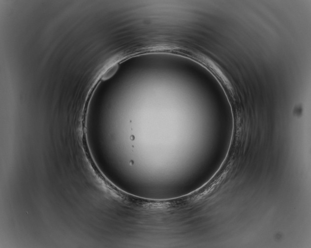 X0000100760810200806191206