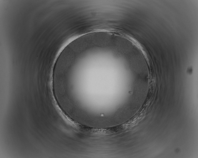 X0000100760811200806191206