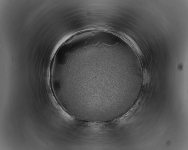 X0000100760812200806191206