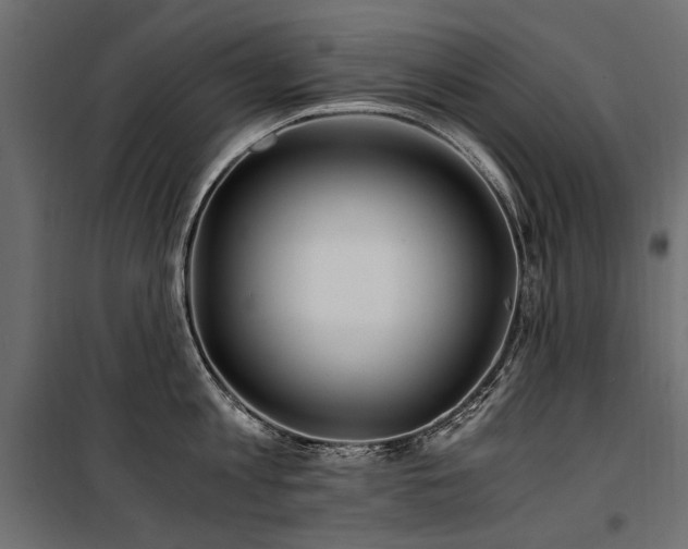 X0000100760813200806191206