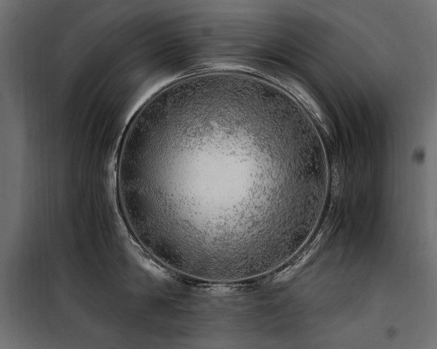 X0000100760814200806191206