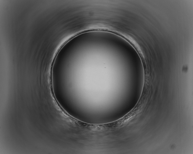 X0000100760815200806191206