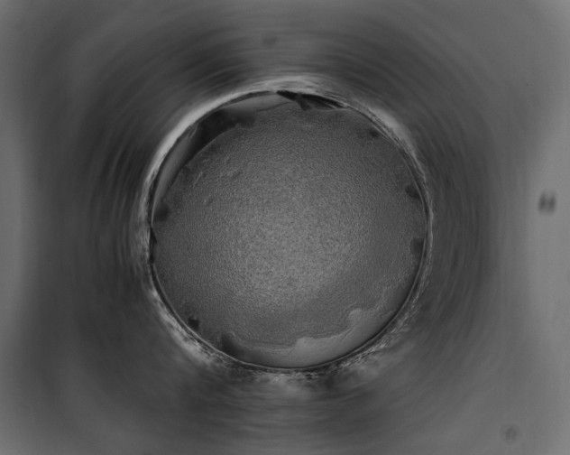 X0000100760816200806191206