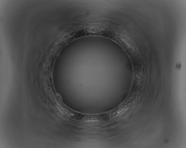 X0000100760817200806191205