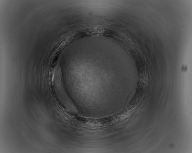 X0000100760818200806191205