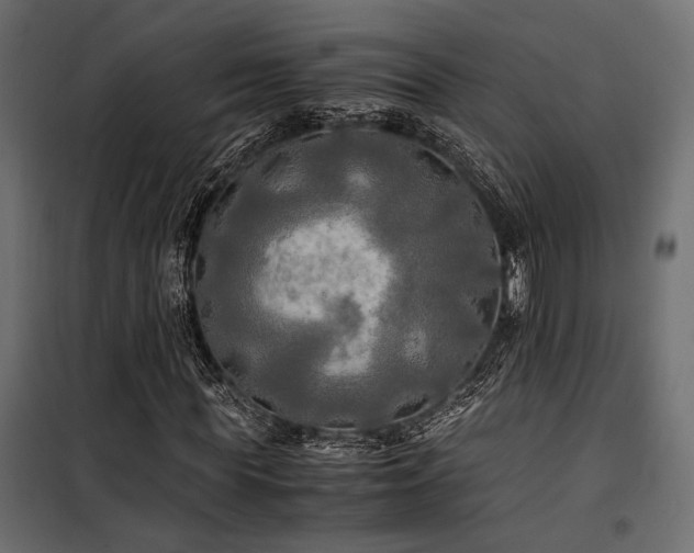 X0000100760819200806191205