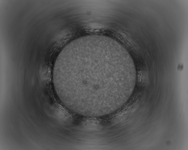 X0000100760820200806191205