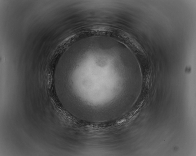 X0000100760821200806191205