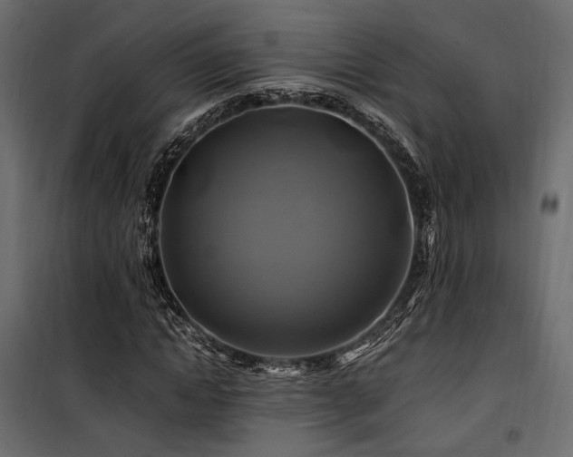 X0000100760822200806191205