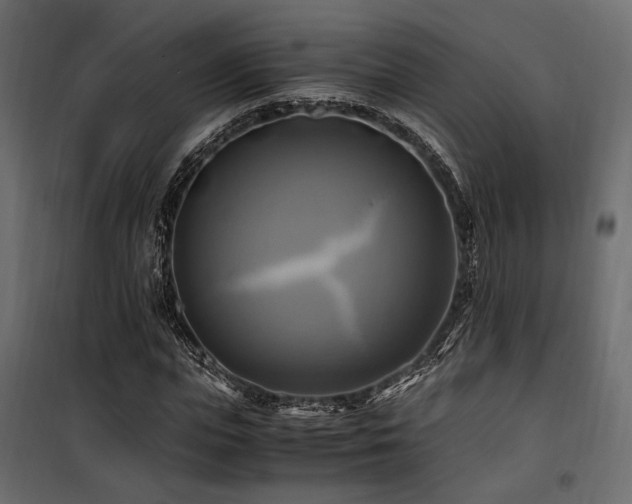 X0000100760823200806191205