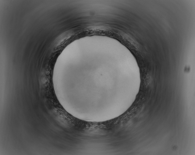 X0000100760824200806191205