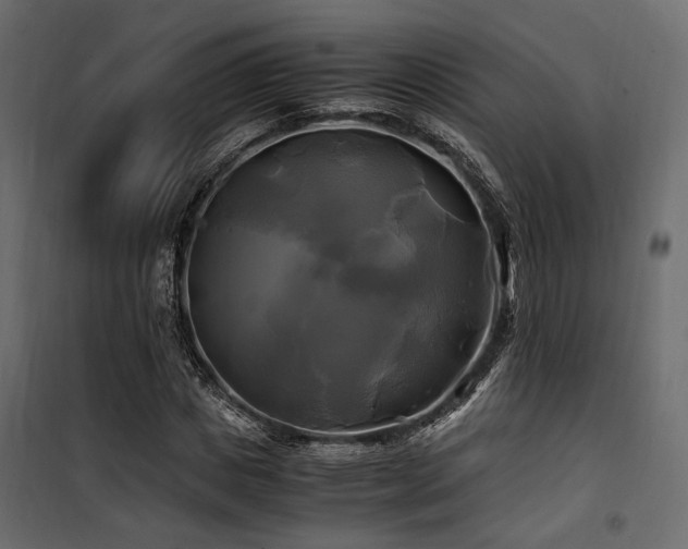 X0000100760825200806191205