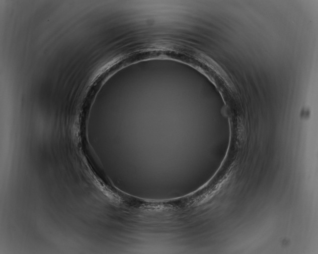 X0000100760826200806191205