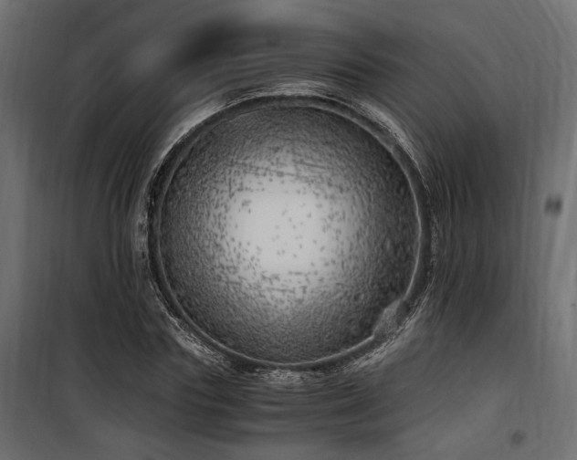 X0000100760827200806191205