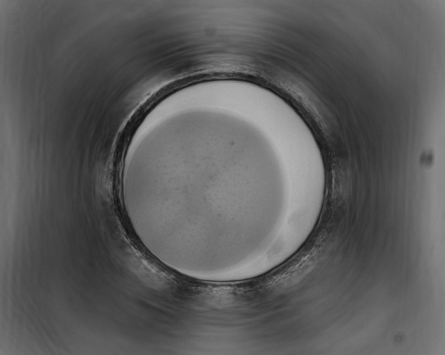 X0000100760828200806191205