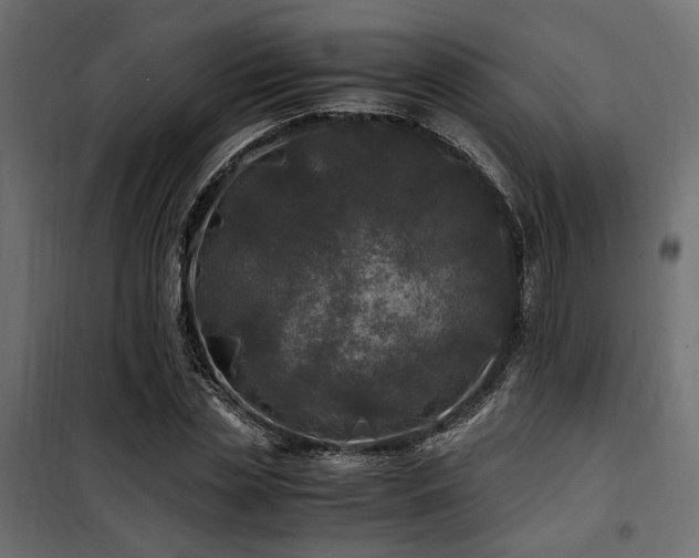 X0000100760829200806191205