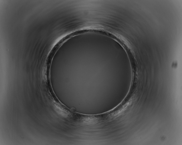 X0000100760830200806191205