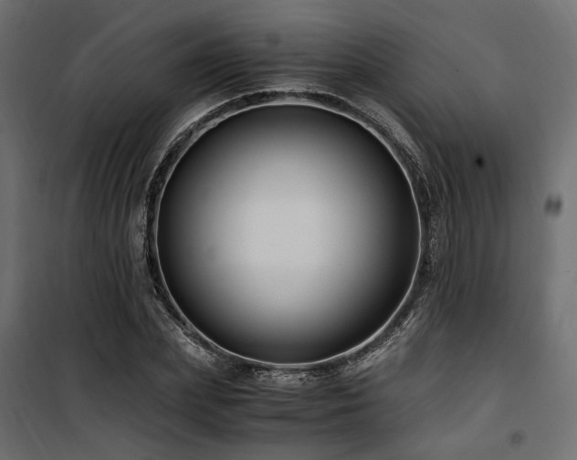 X0000100760831200806191205