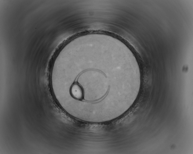 X0000100760832200806191205