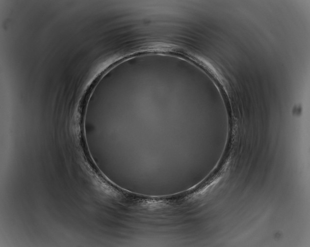 X0000100760835200806191205