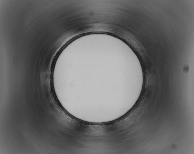 X0000100760836200806191205