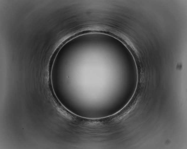 X0000100760837200806191205