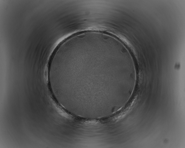 X0000100760838200806191205