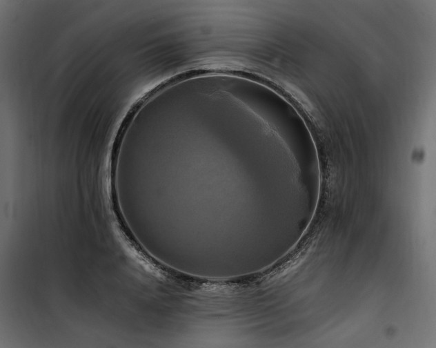 X0000100760840200806191205