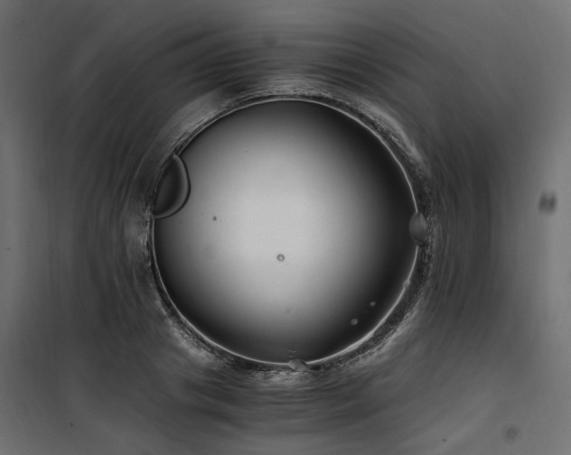 X0000100760841200806191205