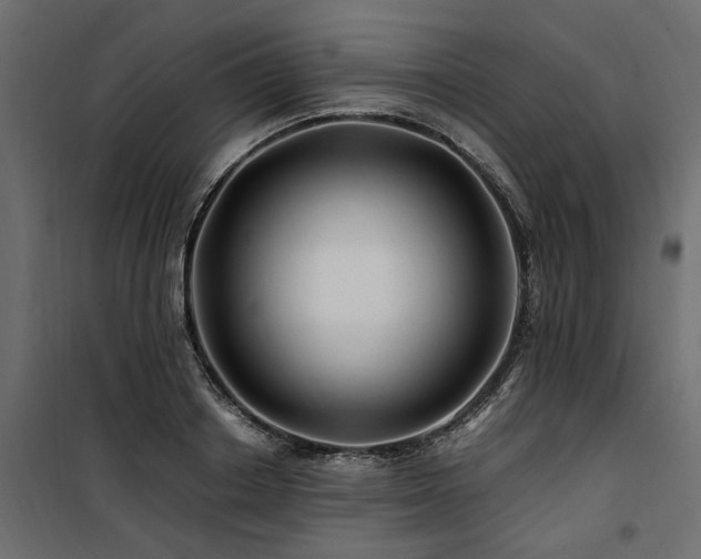 X0000100760842200806191205