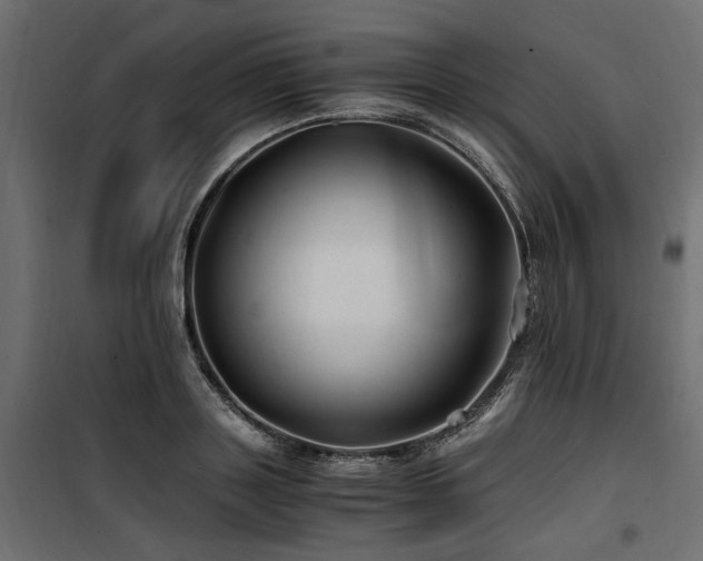 X0000100760843200806191205