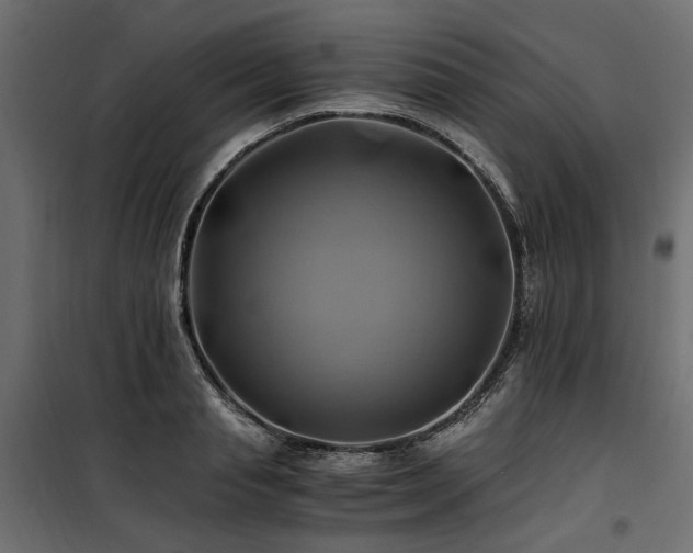 X0000100760845200806191205