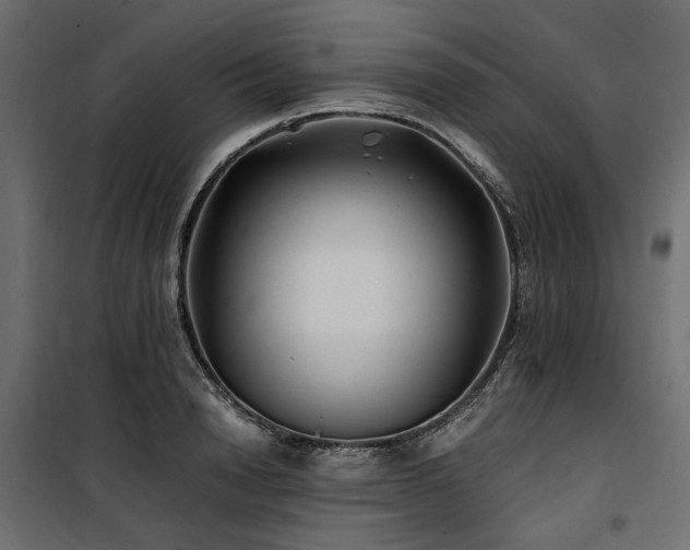 X0000100760846200806191205