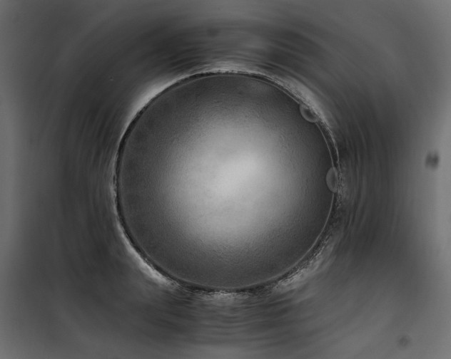 X0000100760847200806191205