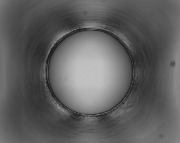 X0000100760848200806191205