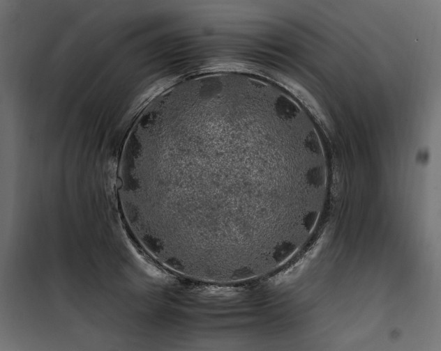 X0000100760849200806191205