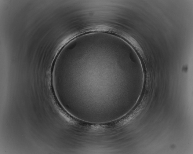 X0000100760850200806191205