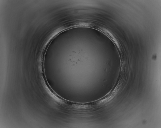 X0000100760851200806191205