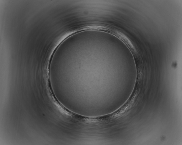 X0000100760852200806191205