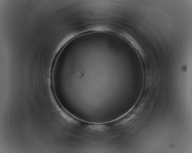 X0000100760853200806191205