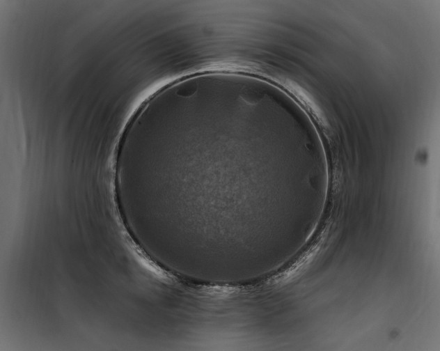 X0000100760854200806191205