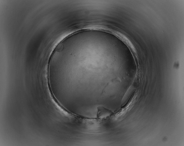 X0000100760855200806191206