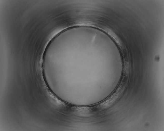 X0000100760856200806191206