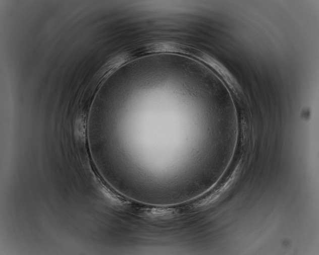 X0000100760857200806191206