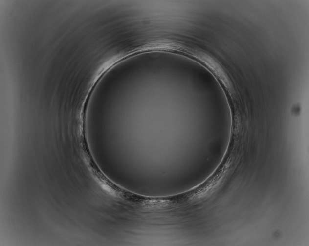 X0000100760858200806191206