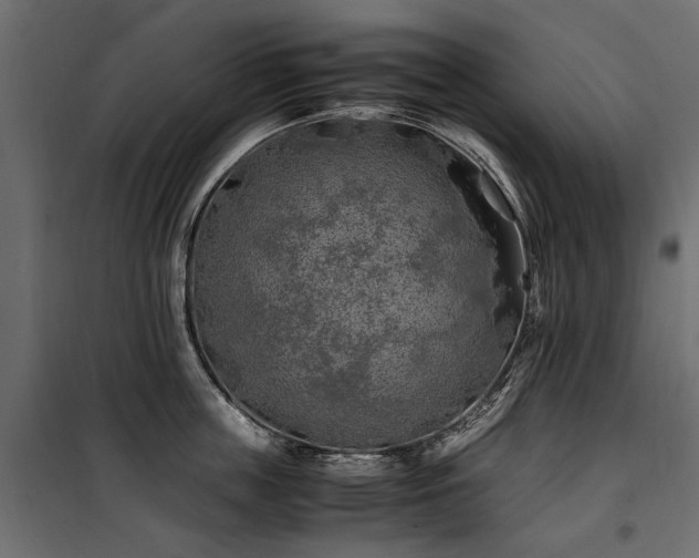 X0000100760859200806191206