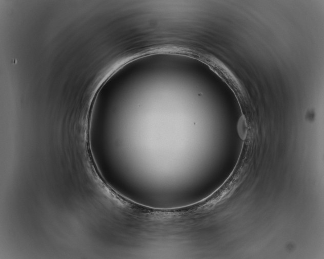 X0000100760860200806191206