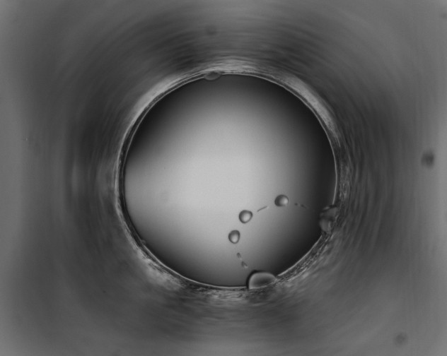 X0000100760861200806191206