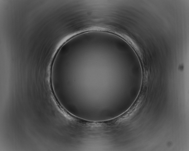 X0000100760862200806191206