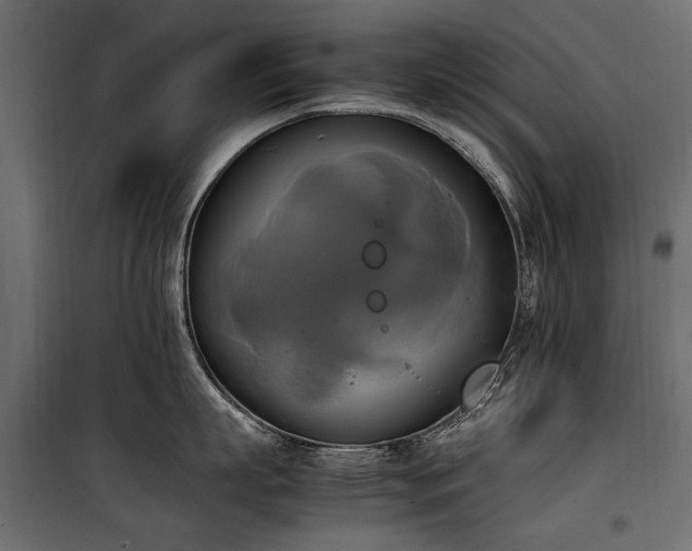 X0000100760863200806191206